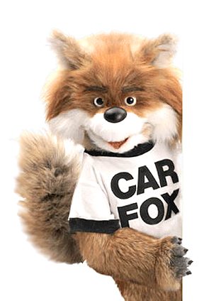 car-fox.jpg