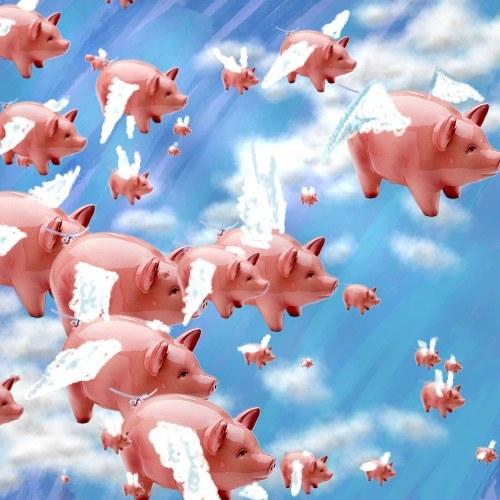 pigs_flying