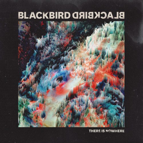 blackbirdblackbird