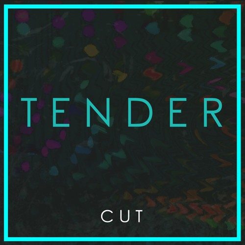 tender4