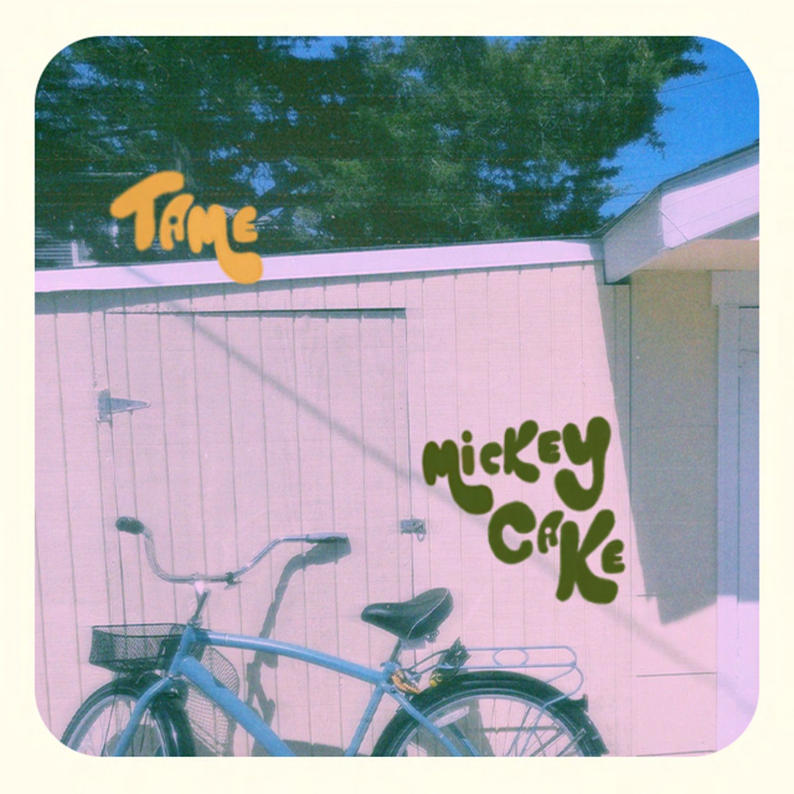 Mickey Cake – Tame
